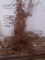 IMG-20120214-01933.jpg